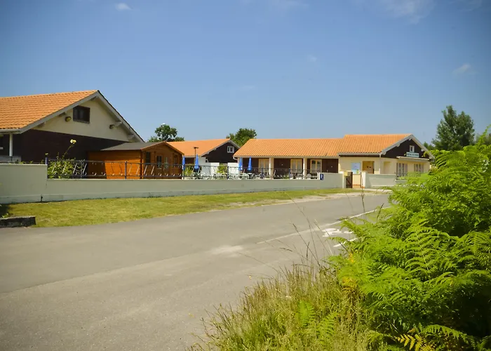 Hôtel accueillant les animaux: Hotel Les Pins