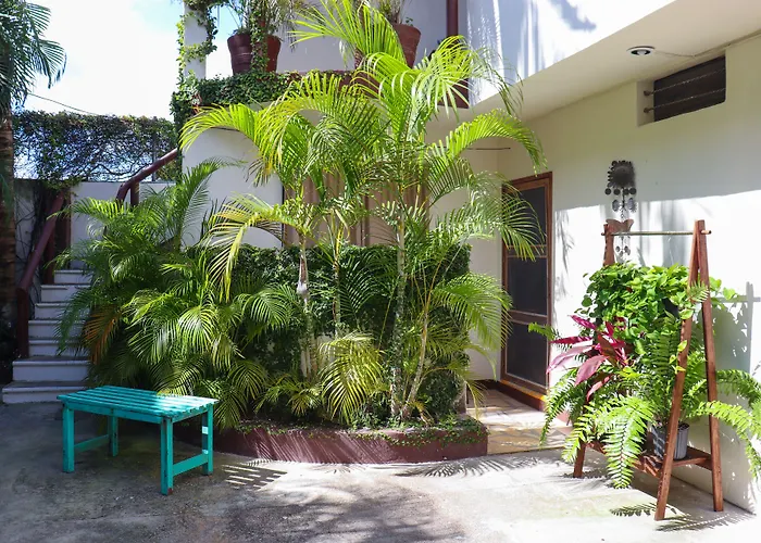 Hostal&Suites Pata de Perro