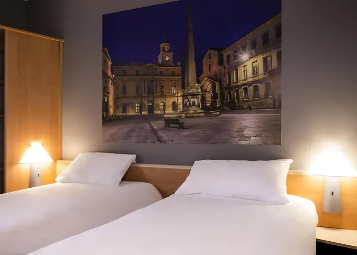 Ibis Arles