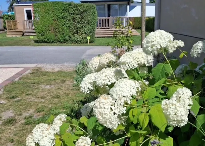 Le Clos des Genets