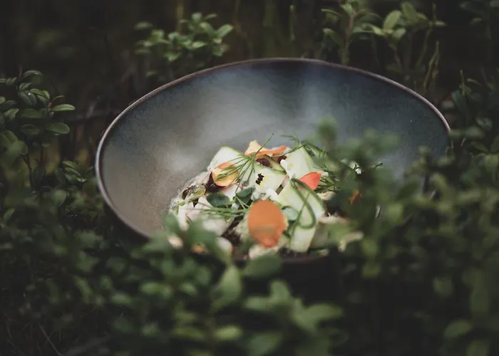 Aurora Igloo, Sauna Spa & Dinner By Invisible Forest Lodge Adults Only