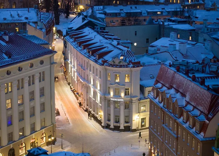 My City Hotel
