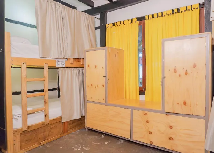 Hotel boutique: Coffee Tree Boutique Hostel