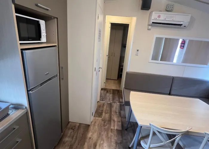 Les mobil homes de NOLY TV CLIM 6places 1 place adulte offerte pour la réserve africaine sigean
