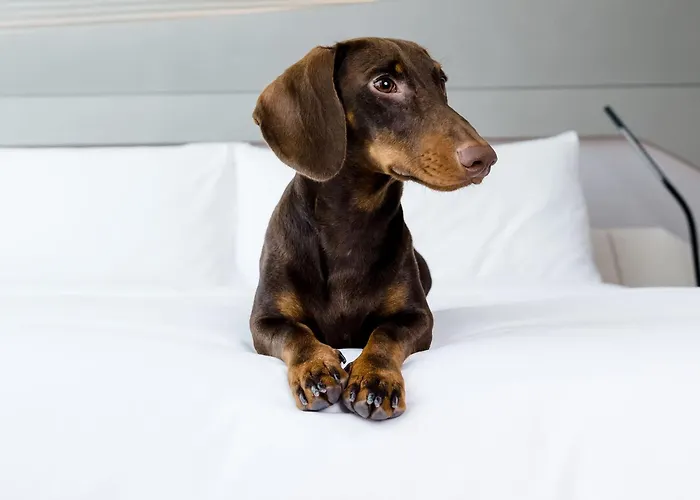 Innside By Melia Zaragoza