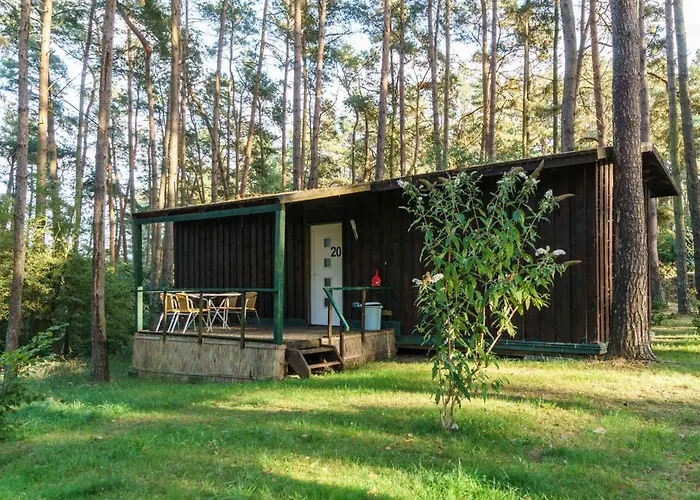 Urlaub im Bungalow - mitten im Wald
