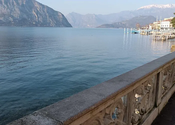 La tana del geco