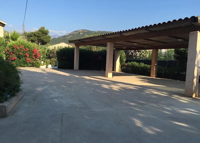 Animaux admis Résidence Villa Branda