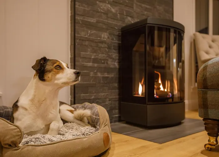 Drumcarrow Luxury Lodges