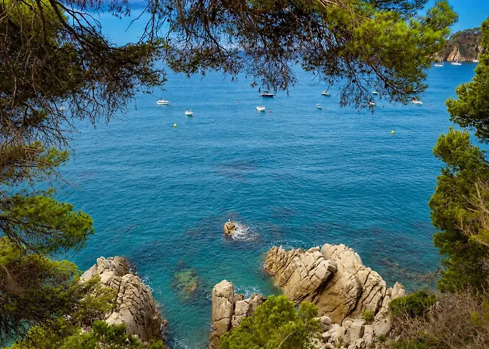 Kampaoh Tossa De Mar