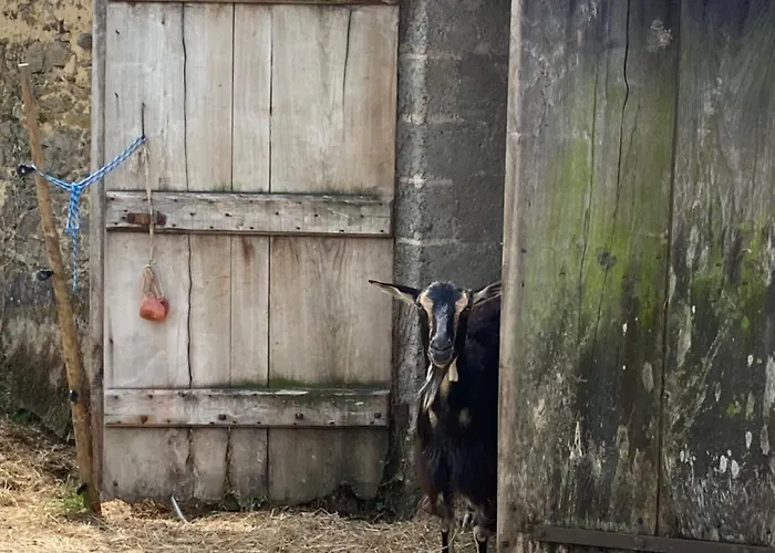 La Ferme Des Lamas Dordogne