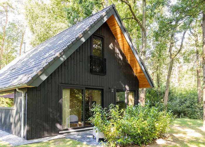 midden in de bossen bij schapendrift 29