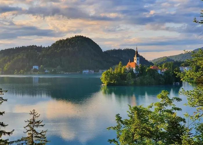 Sovica