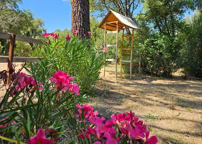 Domaine authentique de rose