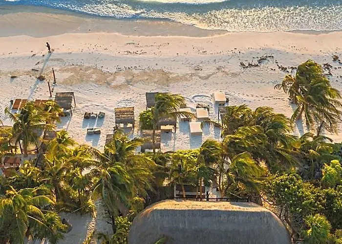 Nest Tulum