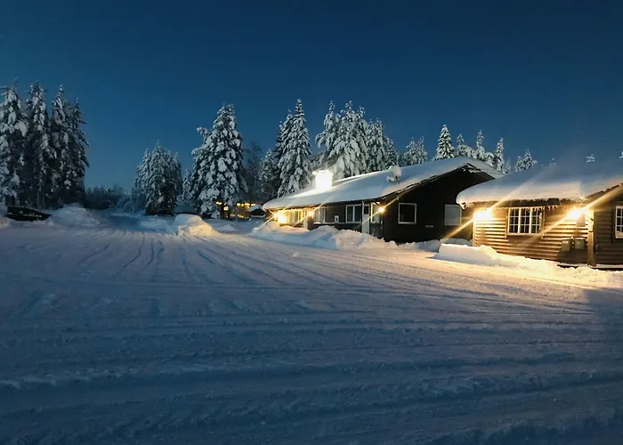 Saeterasen Hytter & Camping Trysil
