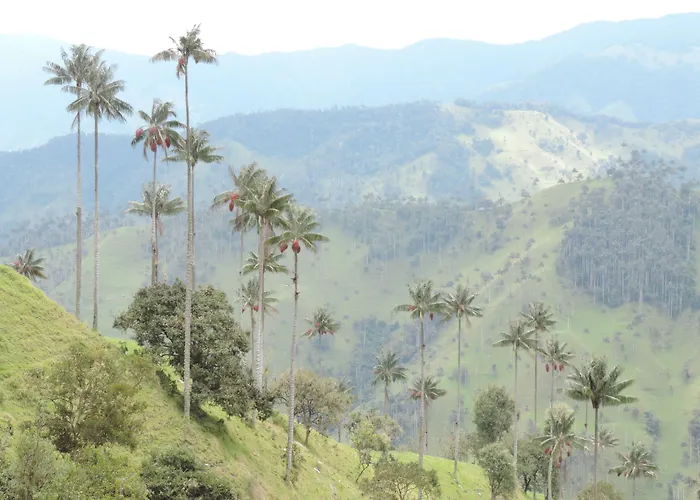 La Cabaña Ecohotel - Valle del Cocora