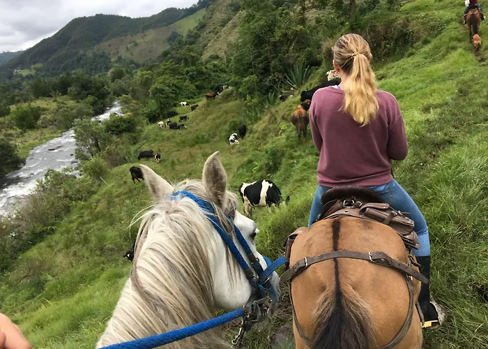 La Cabaña Ecohotel - Valle del Cocora