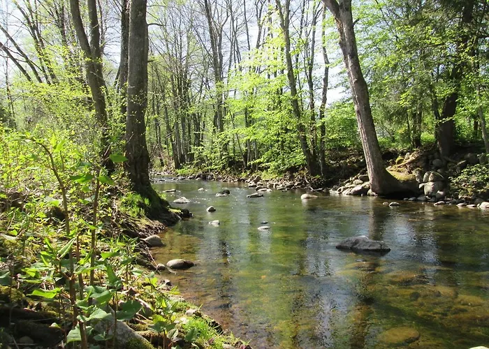 Camping De Masevaux
