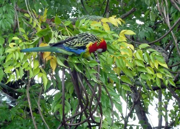 Peace And Plenty Inn