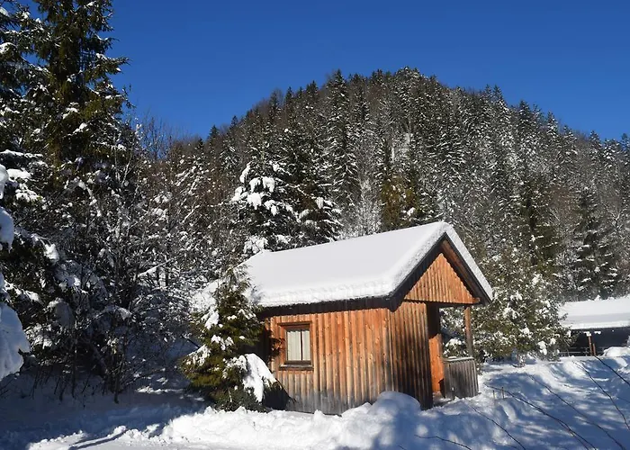 Camping und Chalet Saggraben
