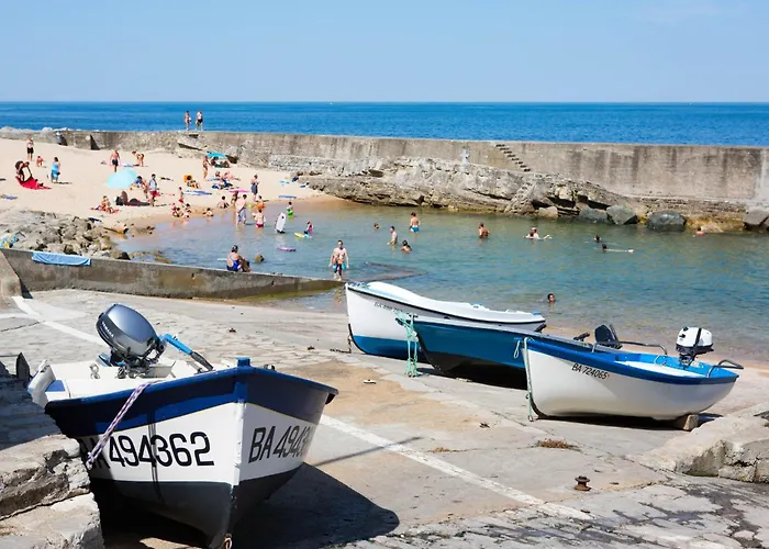 Hôtel accueillant les animaux: Camping Sunissim Erreka By Locatour