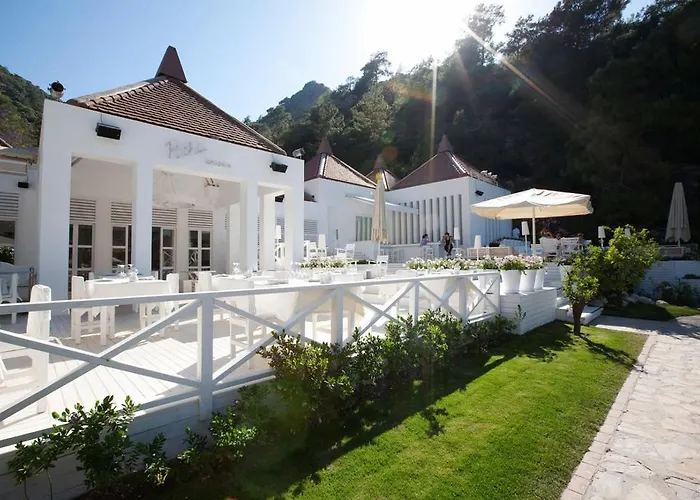 Hillside Beach Club